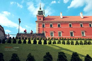 美国运动员勇夺田径比赛金牌