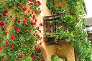 恒大三球完胜，继续保持不败