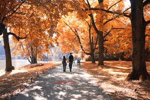 意大利篮球联赛季后赛，米兰队夺得首场胜利